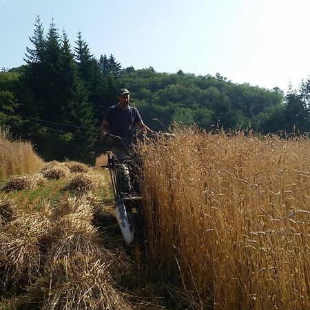 Azienda Agrituristica Risveglio Naturale ヴァレーゼ・リーグレ エクステリア 写真