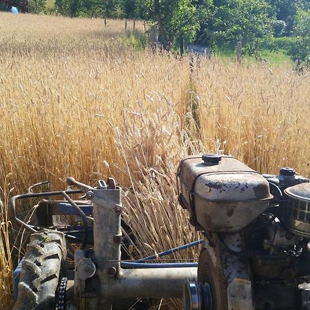 Azienda Agrituristica Risveglio Naturale ヴァレーゼ・リーグレ エクステリア 写真