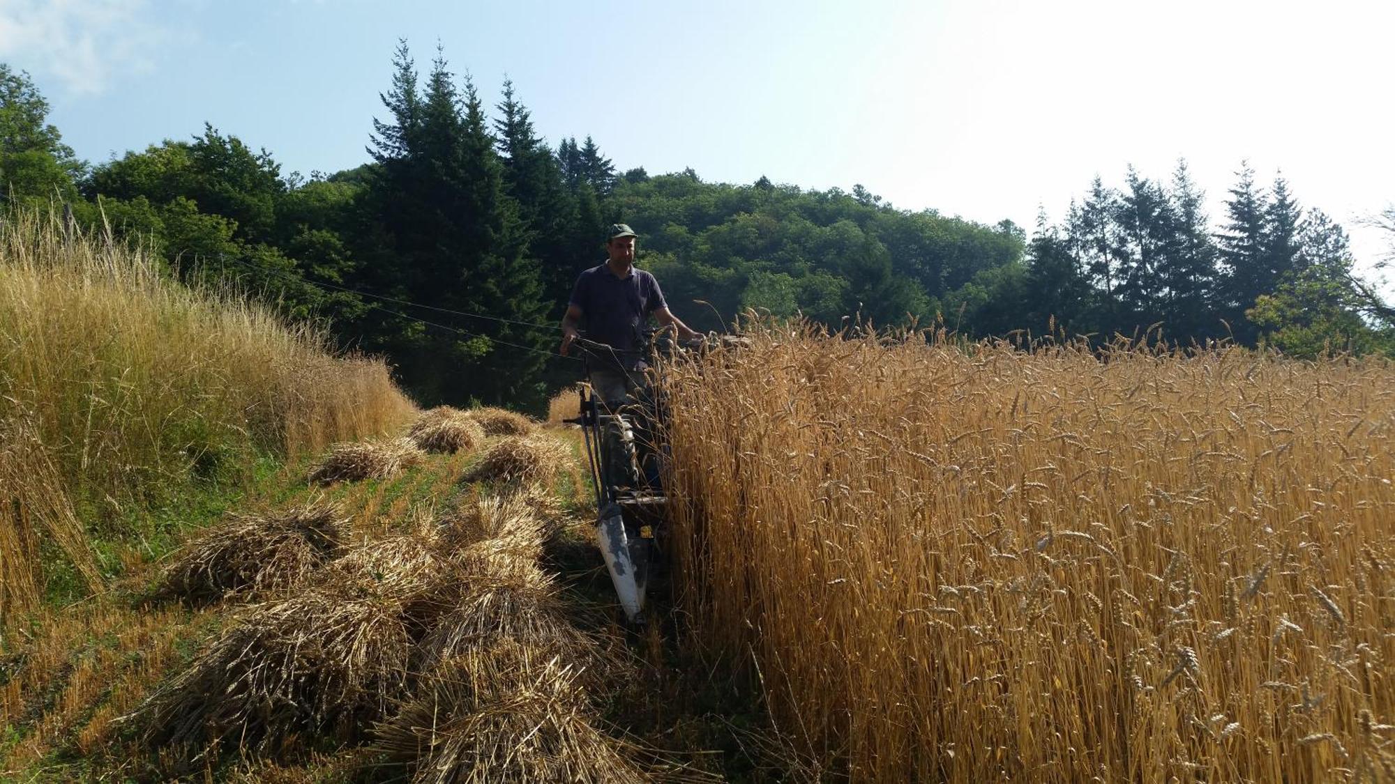 Azienda Agrituristica Risveglio Naturale ヴァレーゼ・リーグレ エクステリア 写真